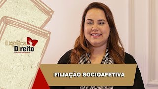 Explica Direito Filiação Socioafetiva  2019 [upl. by Thornton]